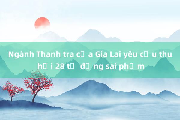 Ngành Thanh tra của Gia Lai yêu cầu thu hồi 28 tỷ đồng sai phạm