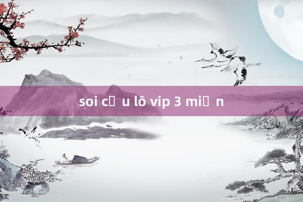 soi cầu lô vip 3 miền