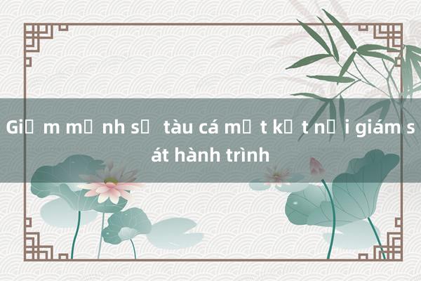 Giảm mạnh số tàu cá mất kết nối giám sát hành trình