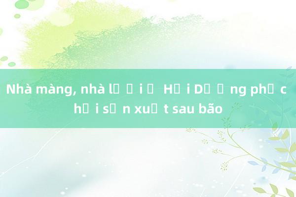 Nhà màng， nhà lưới ở Hải Dương phục hồi sản xuất sau bão