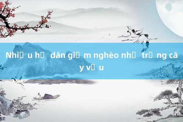 Nhiều hộ dân giảm nghèo nhờ trồng cây vầu