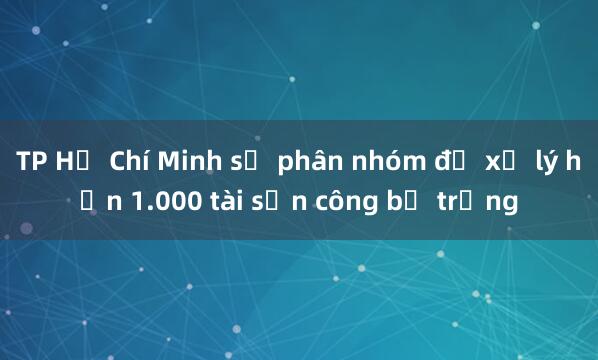 TP Hồ Chí Minh sẽ phân nhóm để xử lý hơn 1.000 tài sản công bỏ trống