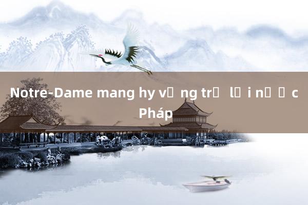 Notre-Dame mang hy vọng trở lại nước Pháp