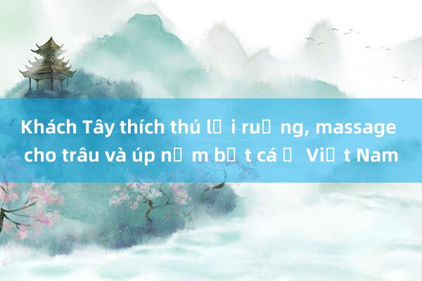 Khách Tây thích thú lội ruộng， massage cho trâu và úp nơm bắt cá ở Việt Nam