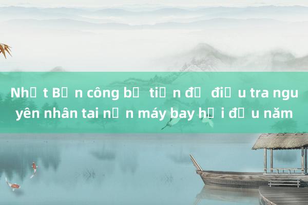 Nhật Bản công bố tiến độ điều tra nguyên nhân tai nạn máy bay hồi đầu năm