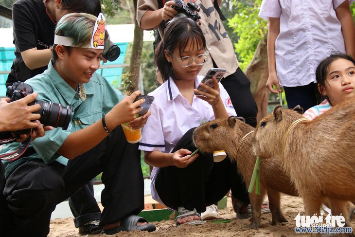 'Giao lưu' với gia đình 'bộ ngoại giao' capybara tại Thảo cầm viên - Ảnh 2.